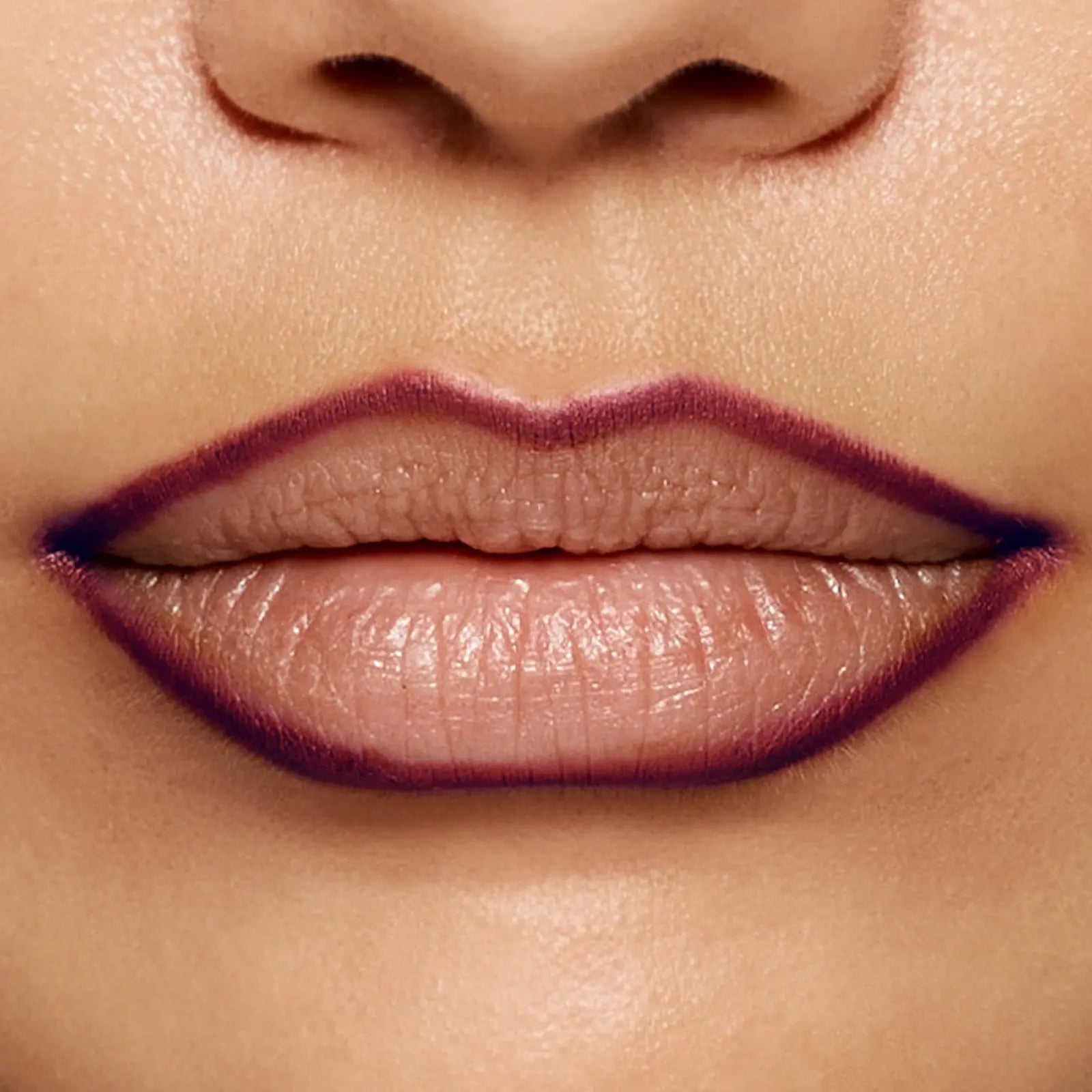 Easy Glide Lip Liner 06 Mauve Whisper shade