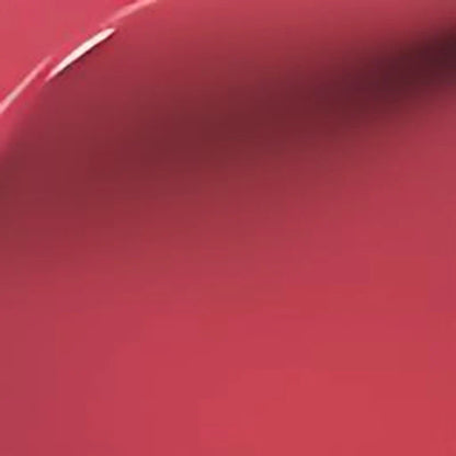 Perfect Twin Lip 907 Gentle Rose shade